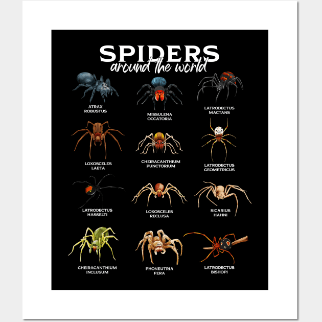 Spiders in the world - types of spiders Wall Art by Modern Medieval Design
